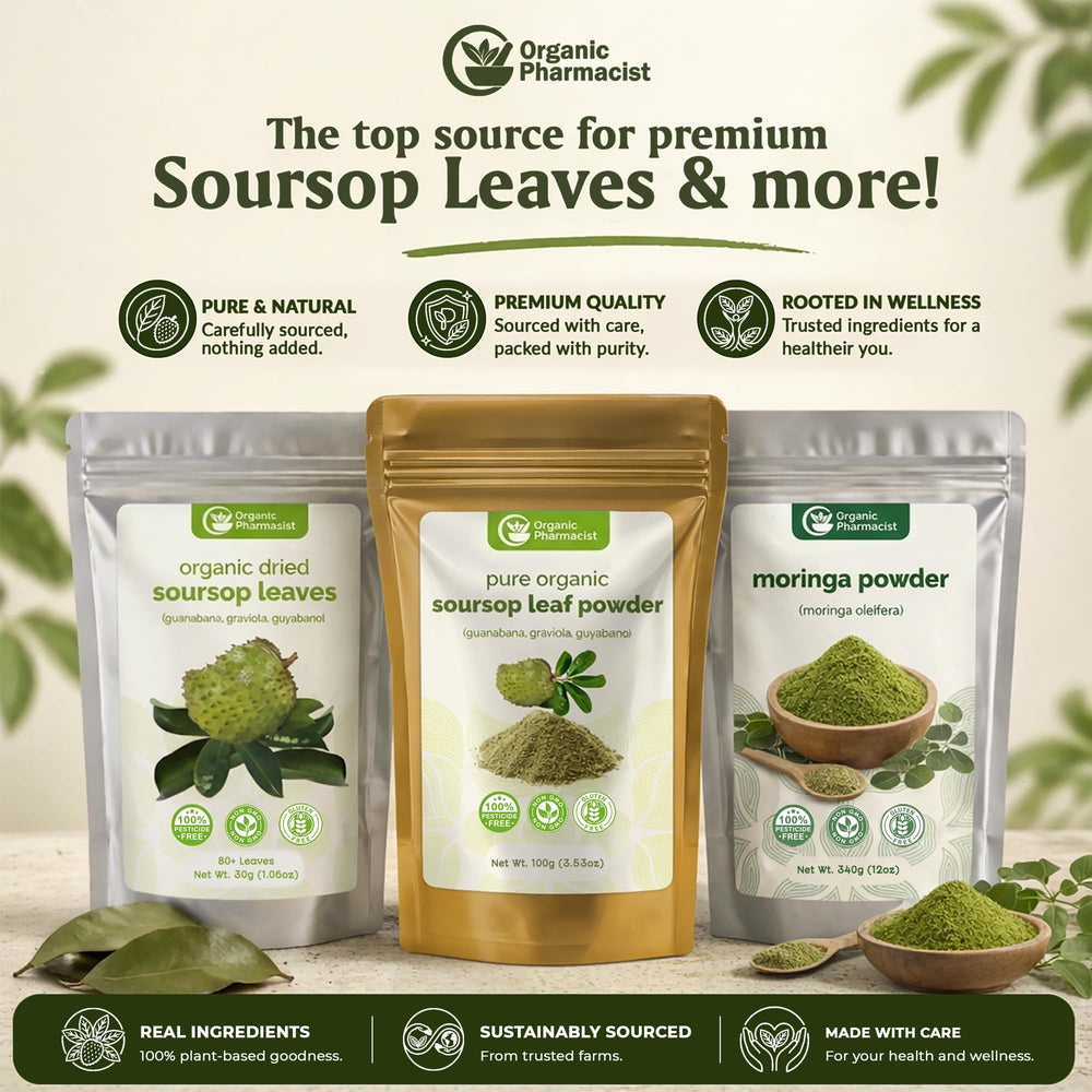 Organic Pharmacist soursop leaves in a kitchen scene for everyday herbal tea preparation
