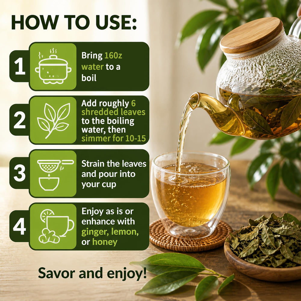 Organic Pharmacist brewing soursop leaf tea in teapot to show infusion clarity and control