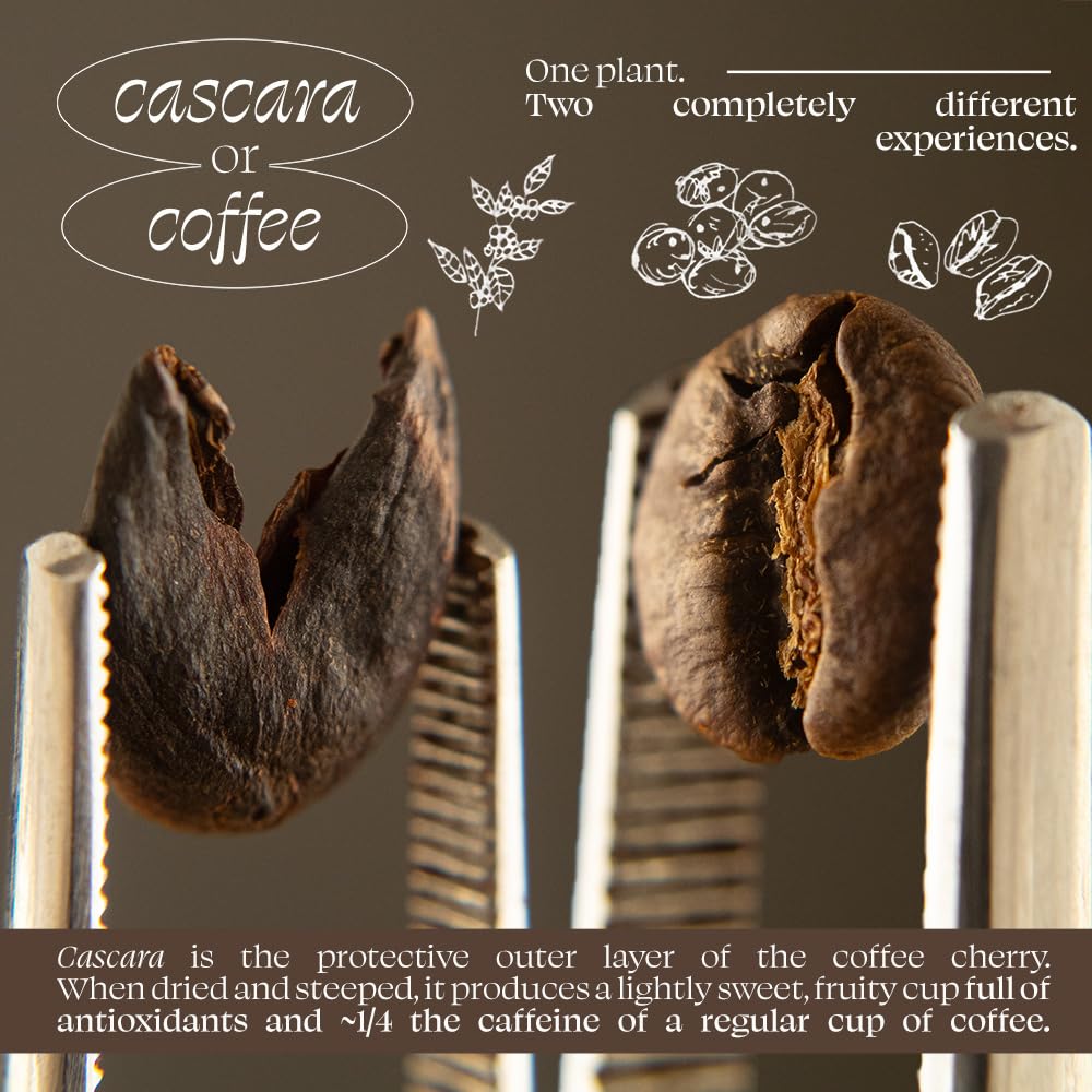 Organic Positively teaspoon and scale with cascara showing portioning and easy measuring