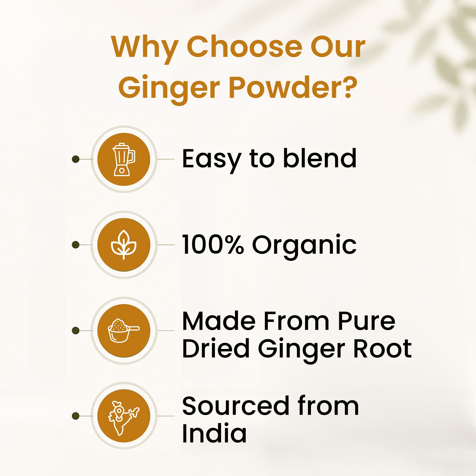 Organic Spice Resource powdered ginger stirred into a bowl suggesting easy cooking use