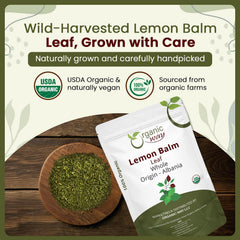 Organic Way brewed cup of lemon balm tea in teacup demonstrating bright citrus infusion