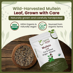 Organic Way mullein steeping in infuser inside cup, easy brewing shown