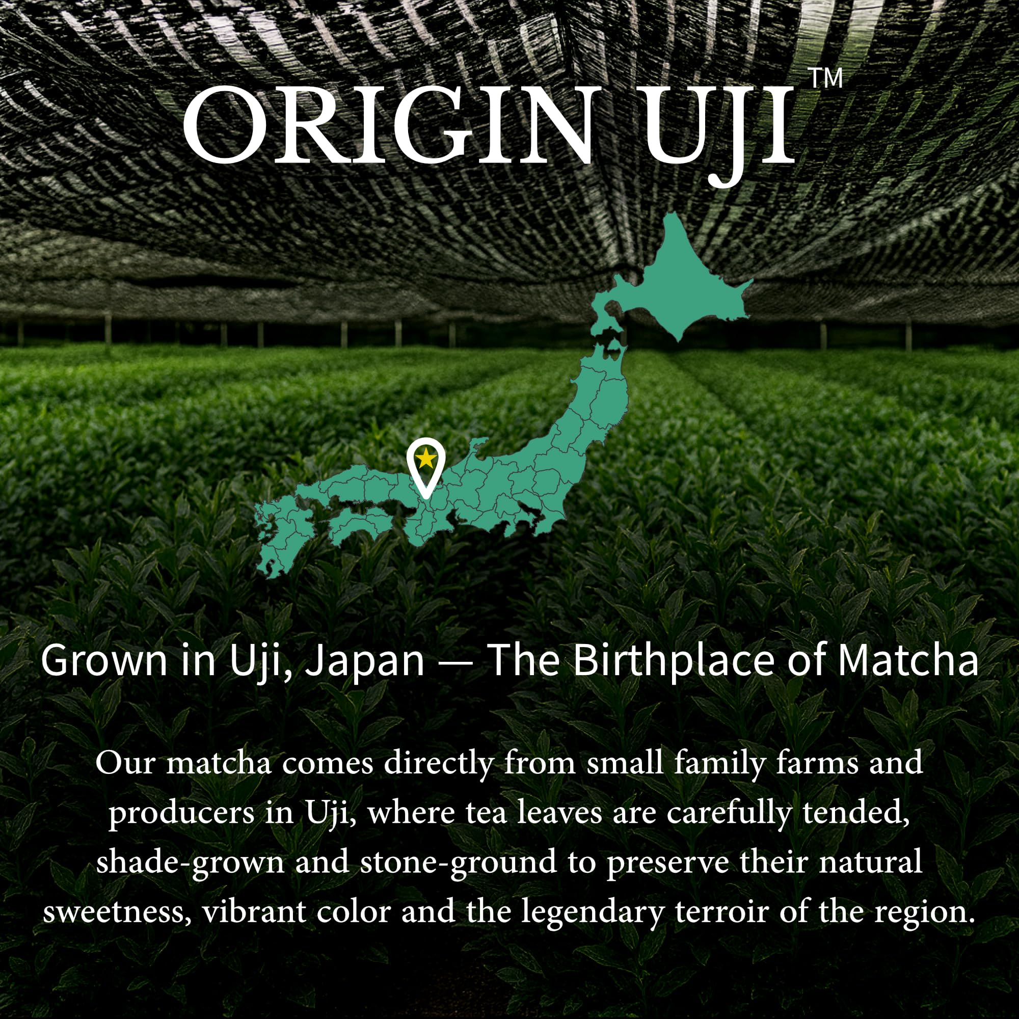 Origin Uji ceramic bowl whisking usucha for smooth frothy result