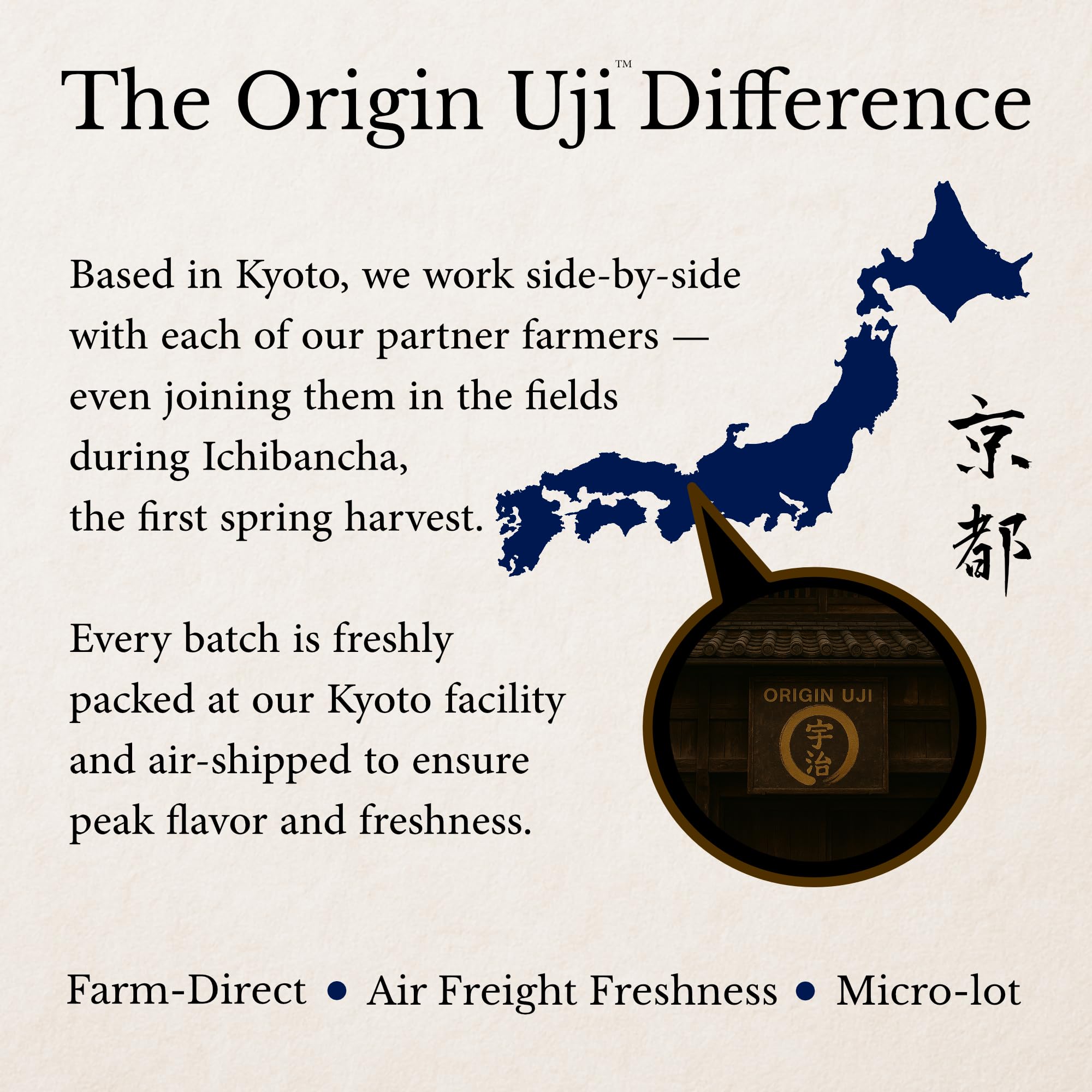 Origin Uji bamboo scoop measuring matcha for precise daily ritual