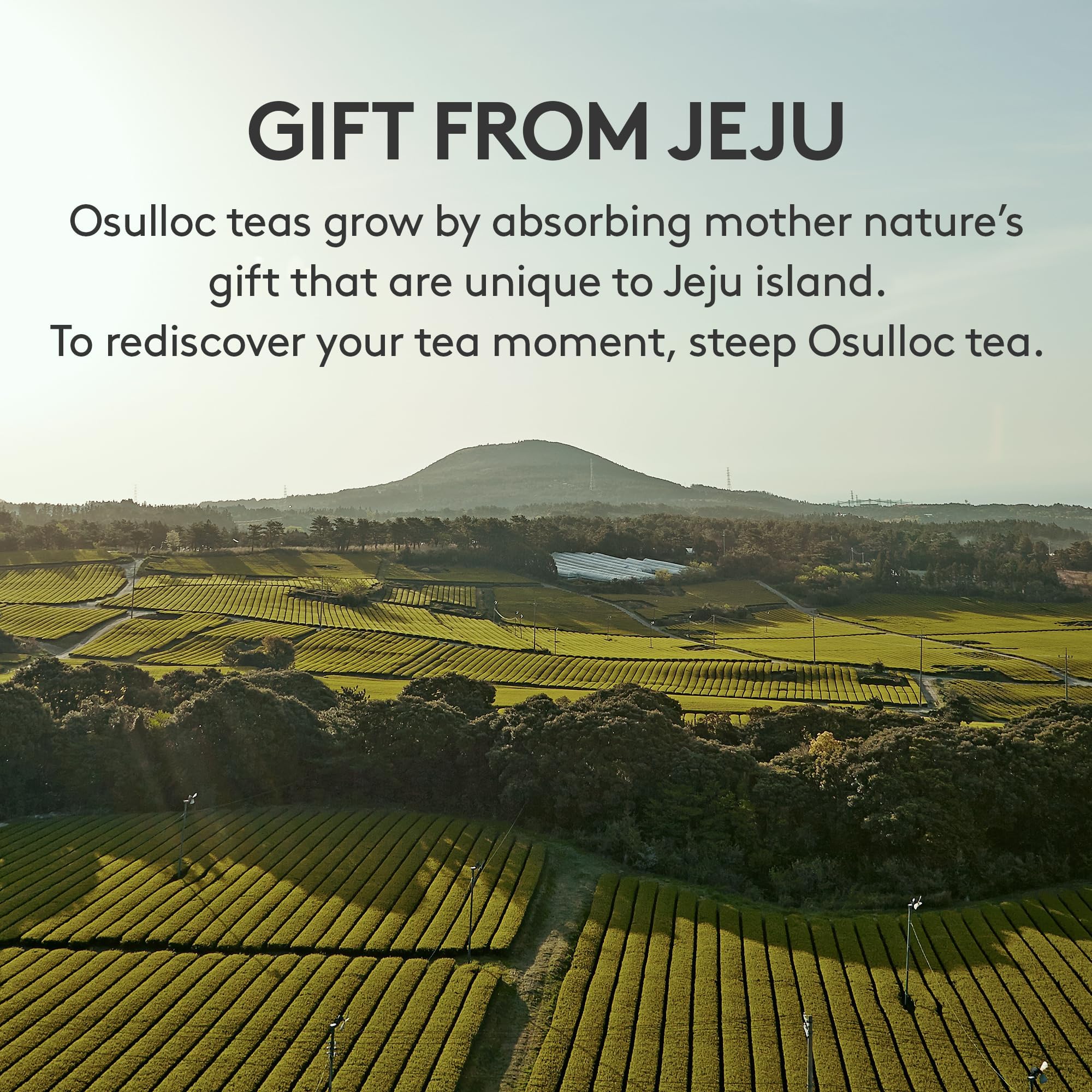 Osulloc lifestyle tea setting with cup and box conveying relaxation benefits