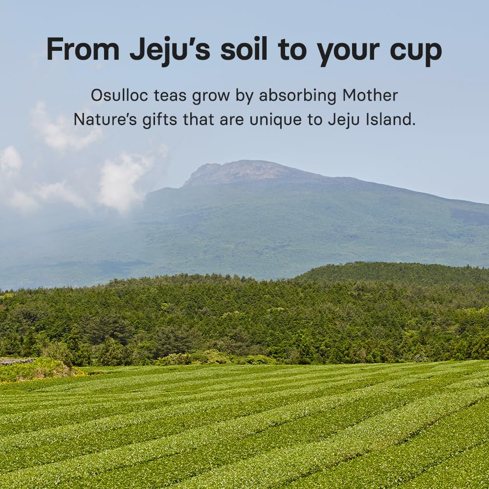Osulloc tea box beside a hand for size comparison and portable convenience benefit