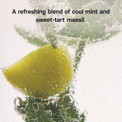 Osulloc tea steeping in glass highlighting infusion clarity and cooling benefit