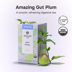 Osulloc tea bag close-up displaying blend texture and freshness benefit