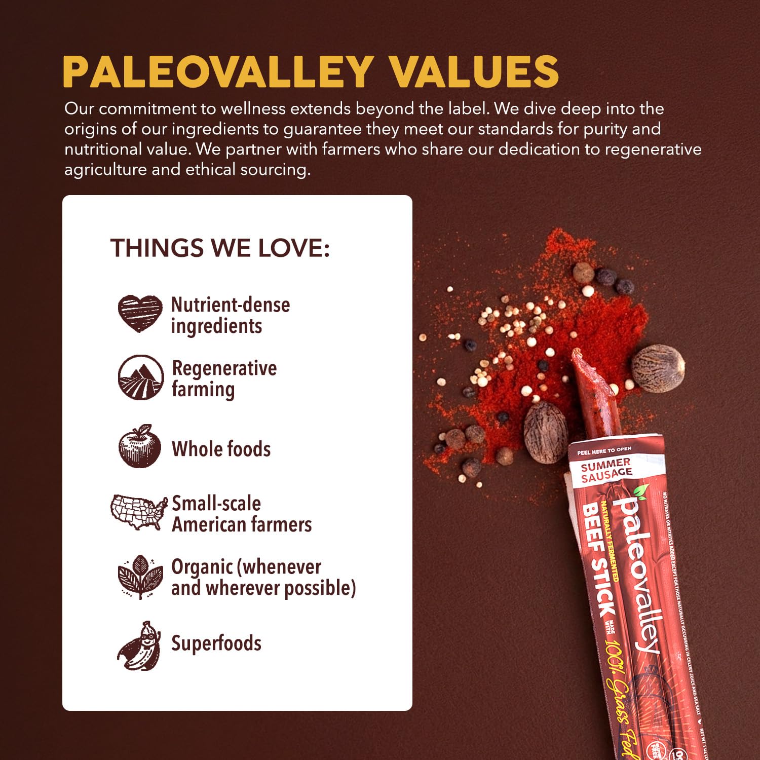 Paleovalley beef stick next to coin showing scale and single-serve portion size