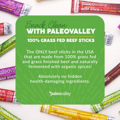 Paleovalley meat stick held in hand to show size and portable high-protein snack