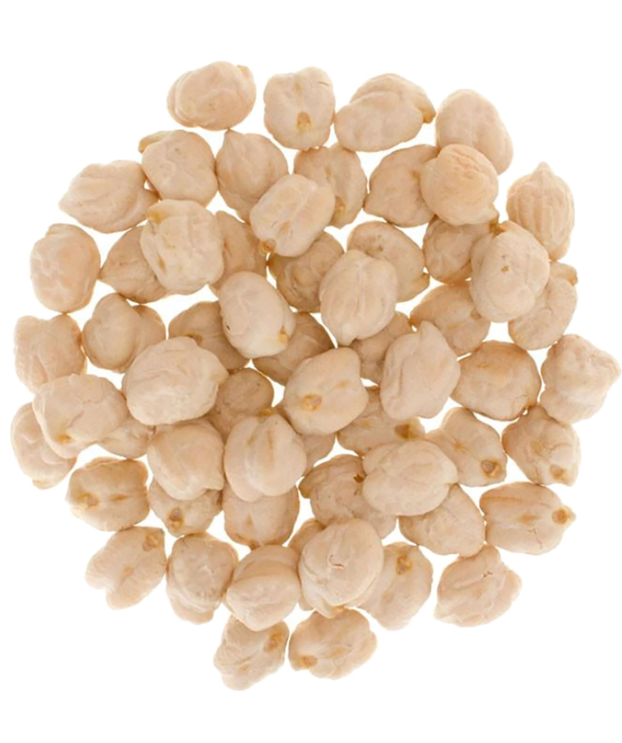 Palouse Brand close-up of chickpea texture highlighting clean beans