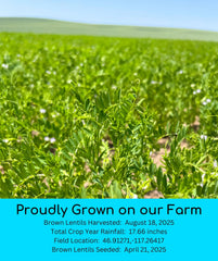 Palouse Brand sprouted lentils in bowl demonstrating sproutable use