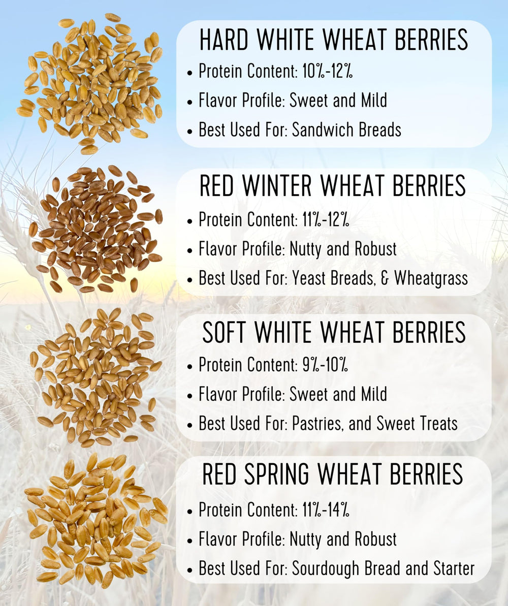Palouse Brand toasted wheat berries in granola adding crunch and nutty flavor
