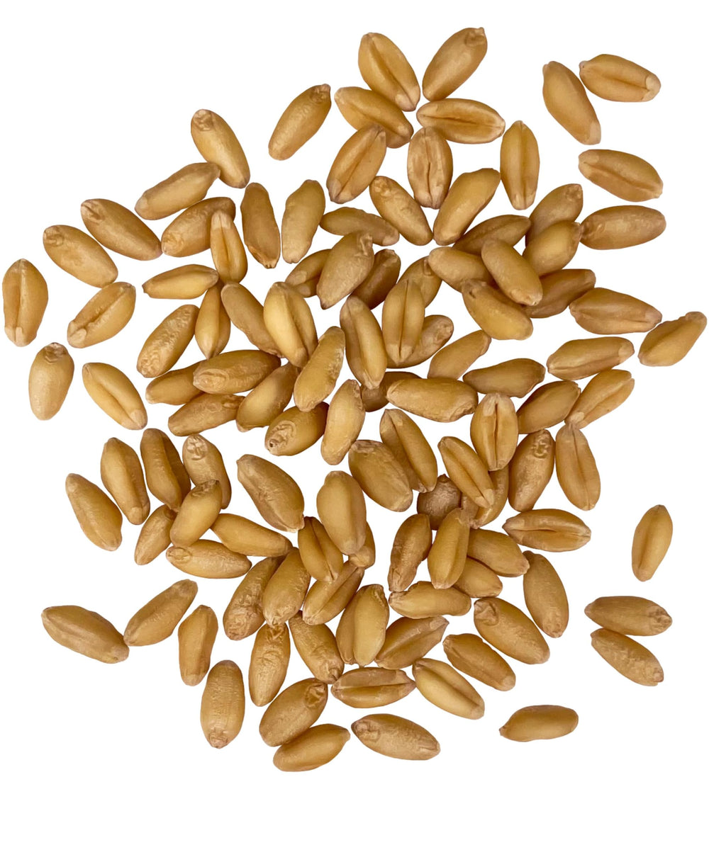 Palouse Brand farm harvest image highlighting local sourcing and traceability