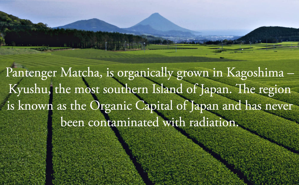 Pantenger origin label close-up showing Kagoshima estate and authenticity