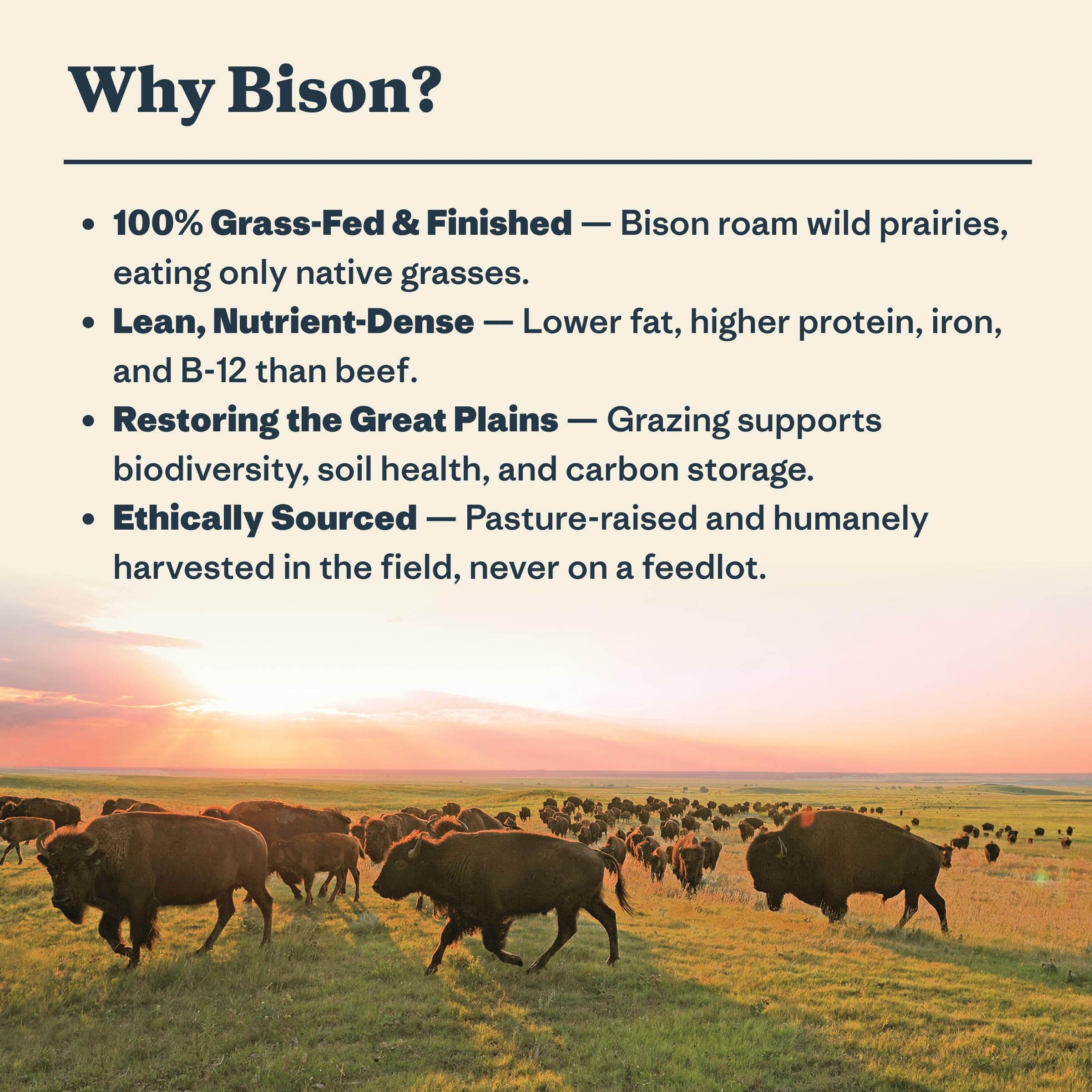 Patagonia bison stick in hand showing size and pocket-ready snack benefit