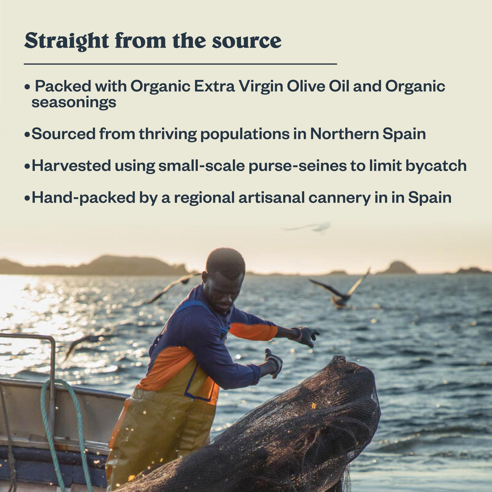 Patagonia Provisions anchovies served over pasta adding savory depth