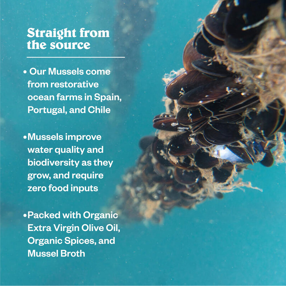 Patagonia Provisions mussels mixed into pasta — adds protein and savory depth