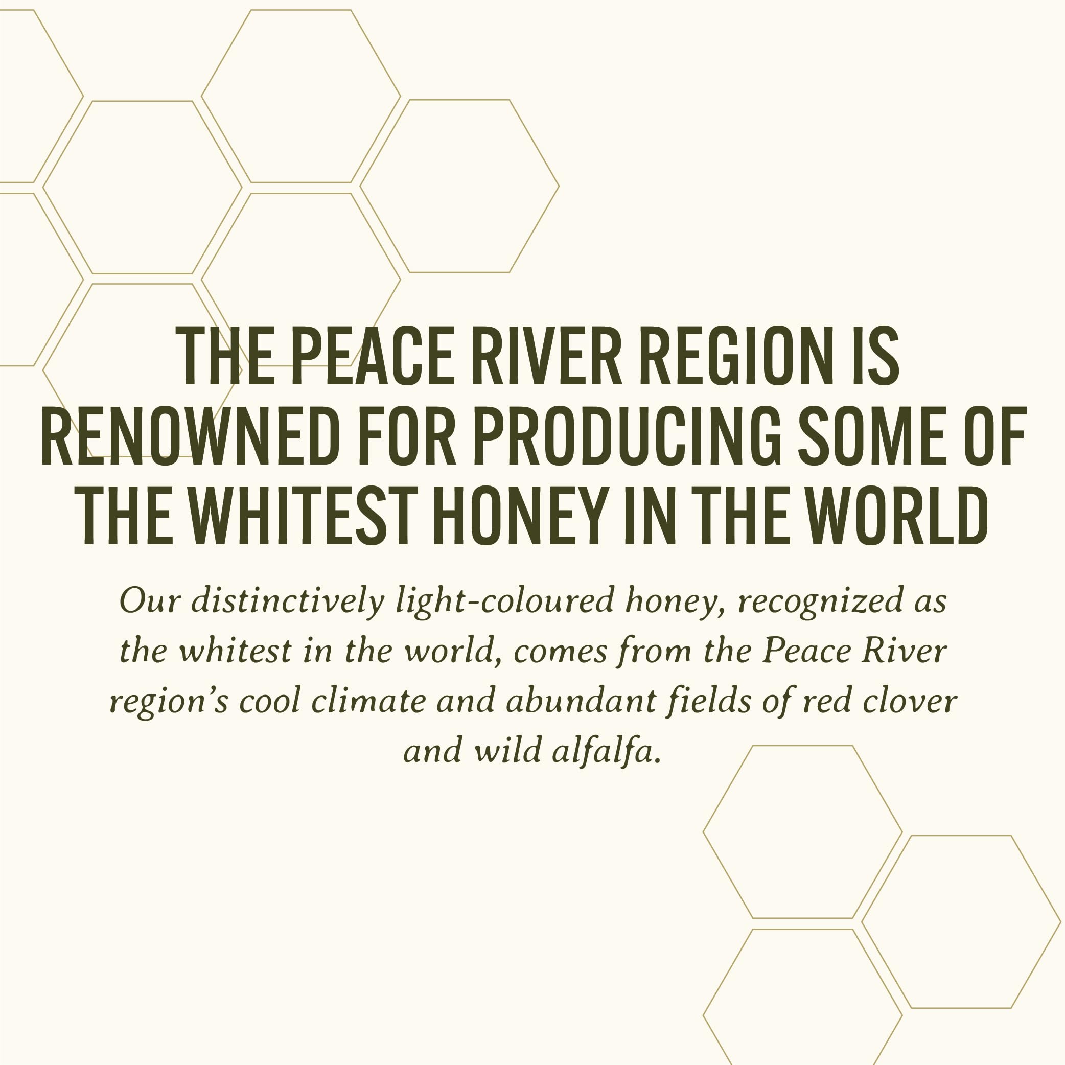 Peace River close-up of whipped honey texture, showing smooth spreadable consistency benefit