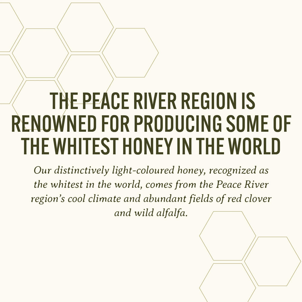 Peace River close-up of whipped honey texture, showing smooth spreadable consistency benefit