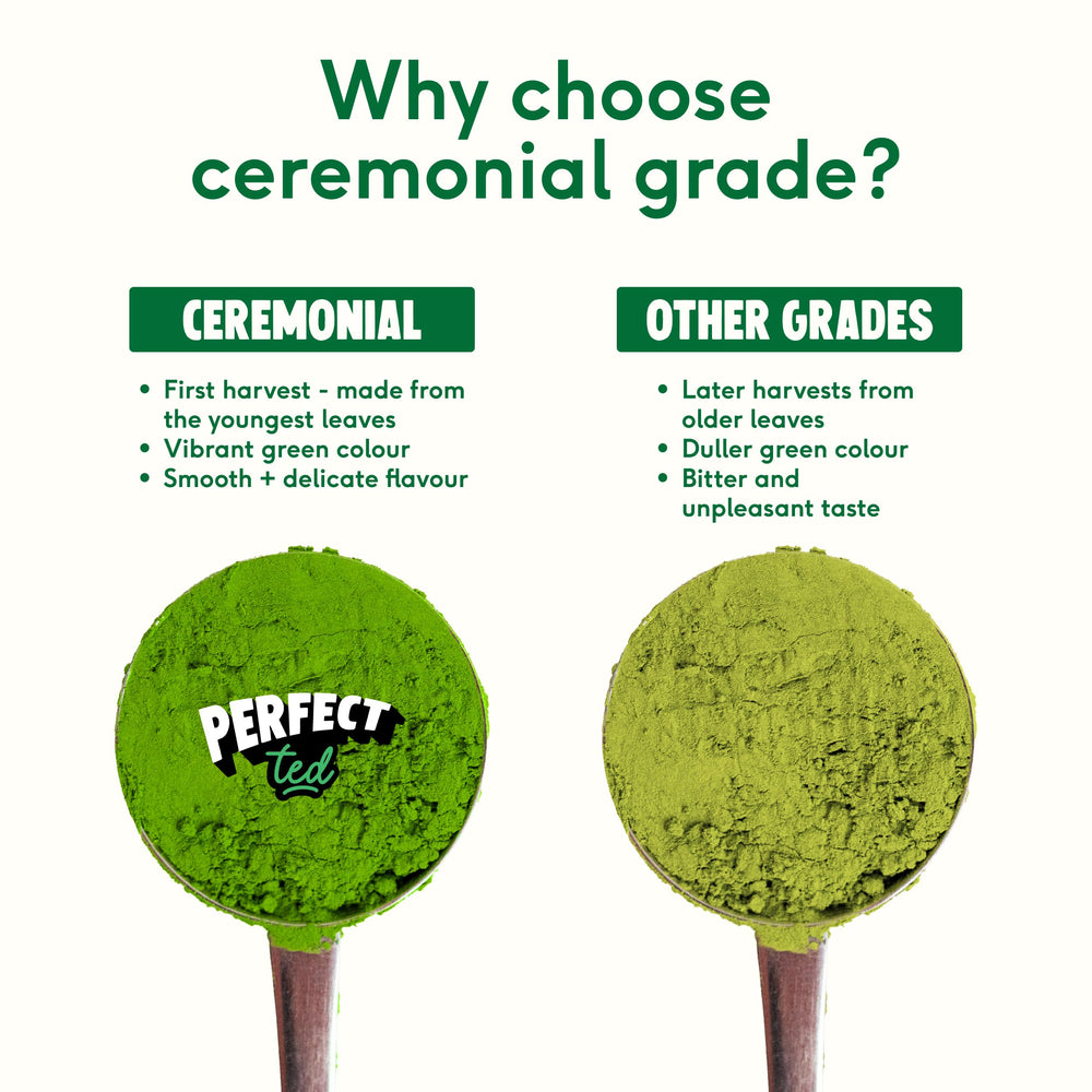 Perfect Ted teaspoon measuring matcha for accurate servings and consistent flavor