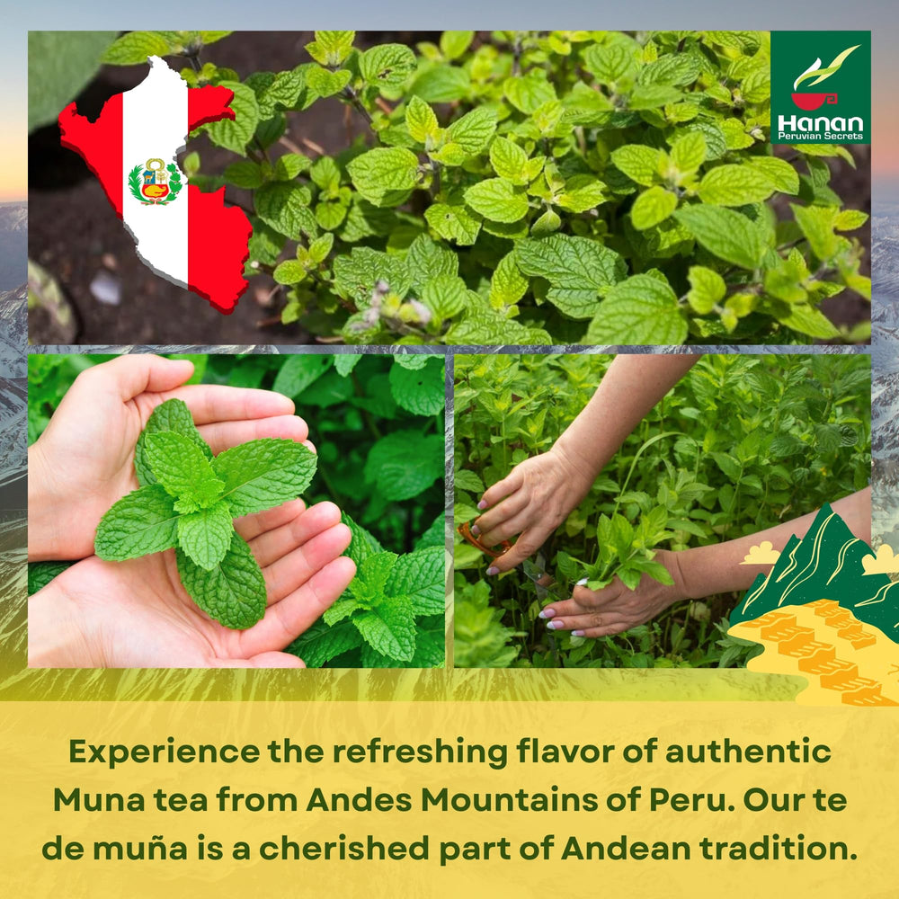 Peruvian Naturals tea bag steeping in glass to illustrate easy home preparation