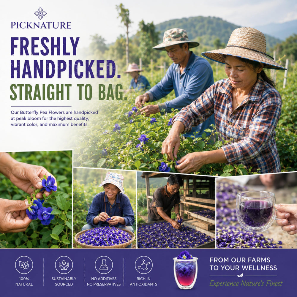 PICKNATURE blue tea turning purple with lemon, visual pH color change for recipes