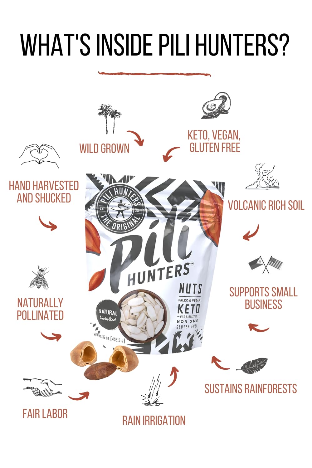 Hand holding pili nuts from Pili Hunters demonstrating portion size and rich oils