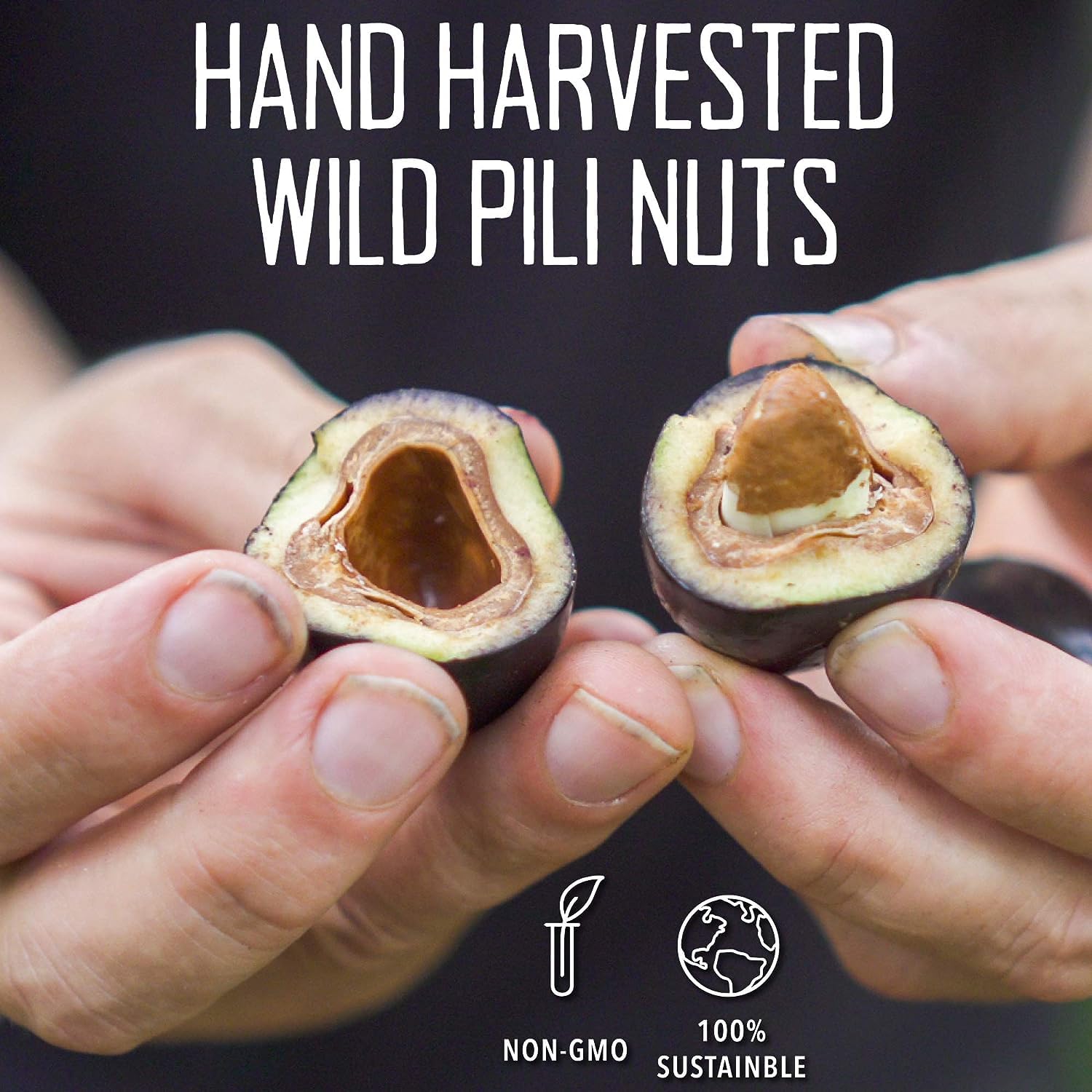 Serving bowl of pili nuts from Pili Hunters offering healthy snack appeal