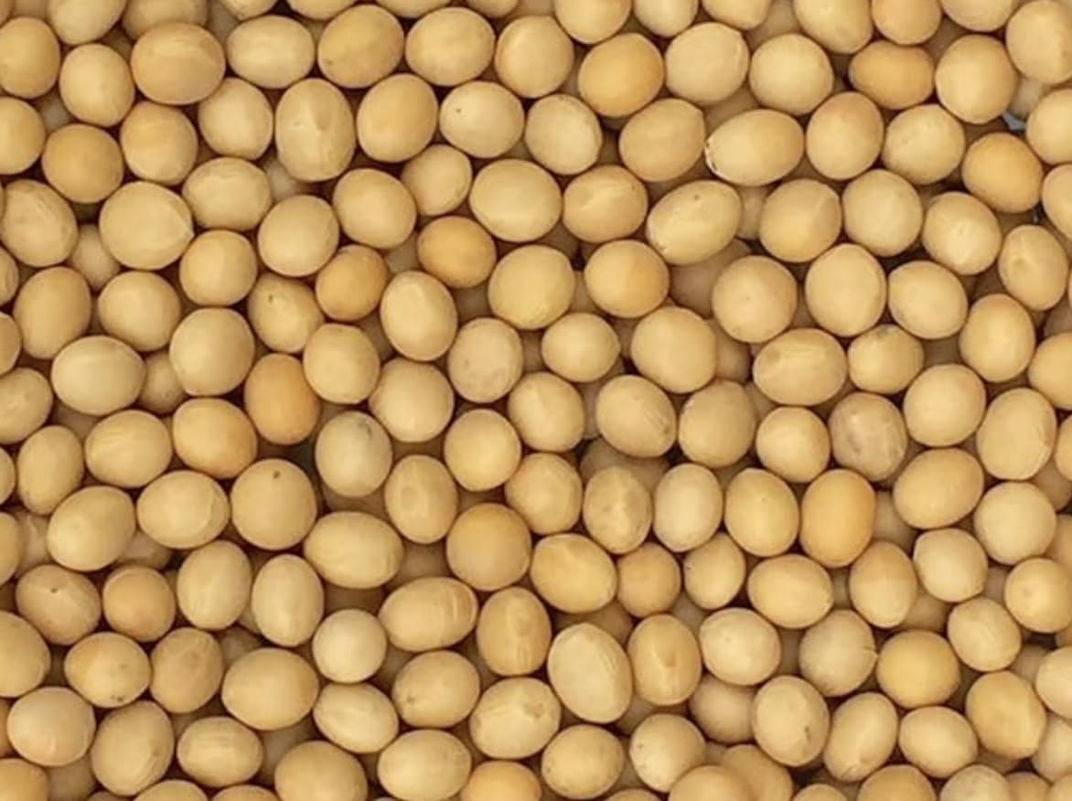 Pinstar Premium front packaging showing beans and freshness benefit