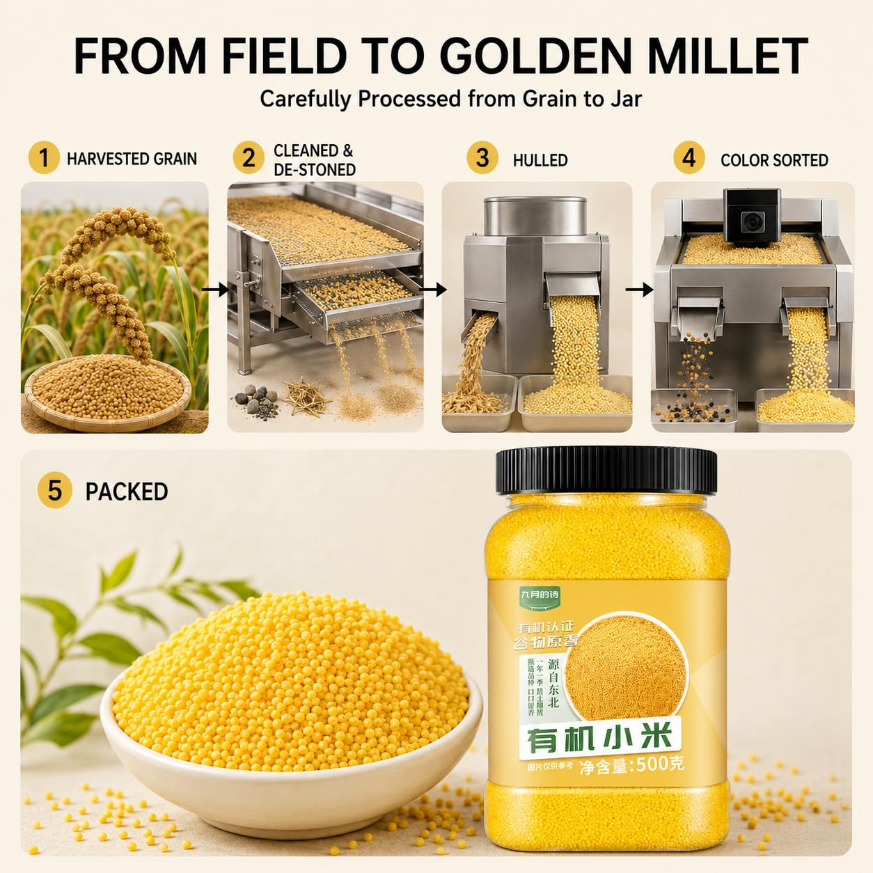 PoetrySeptember millet mixed with pumpkin showing pairing with vegetables benefit