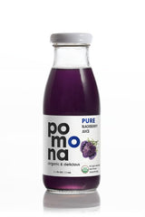 Pomona Organic blackberry juice bottle held in hand showing 8.4 oz size for on-the-go portability
