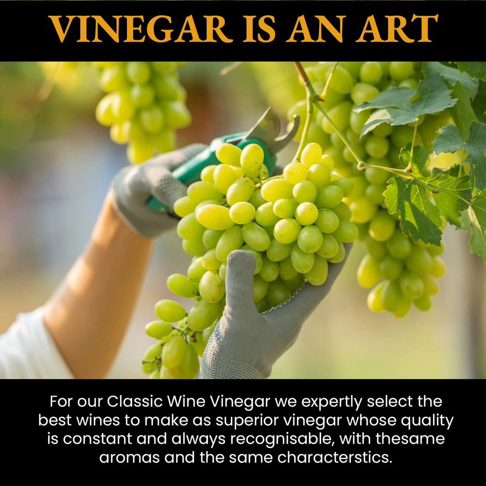 PONTI grape musts in harvest baskets demonstrating natural ingredient sourcing