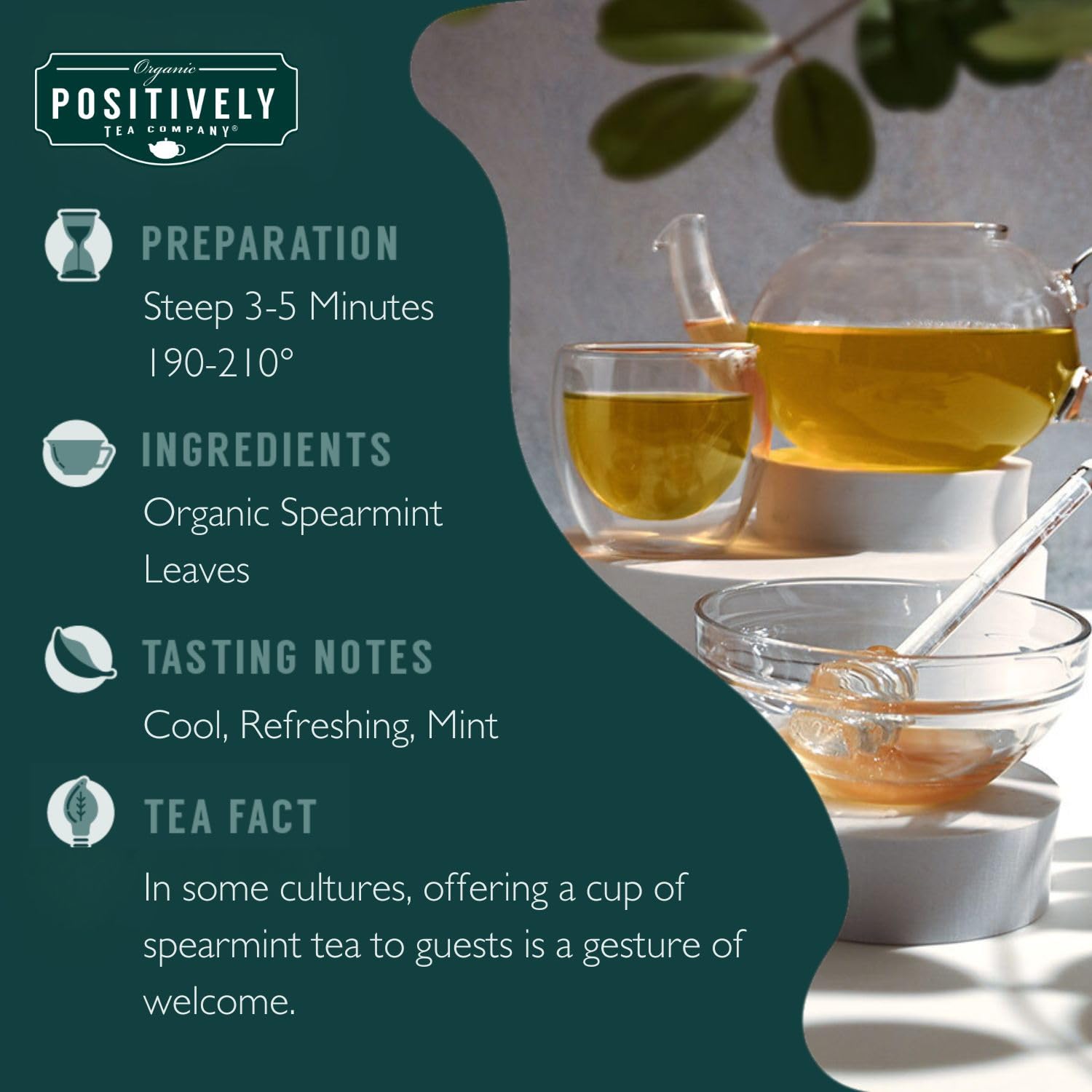 Organic Positively Tea open box with individual spearmint tea bags ready to use