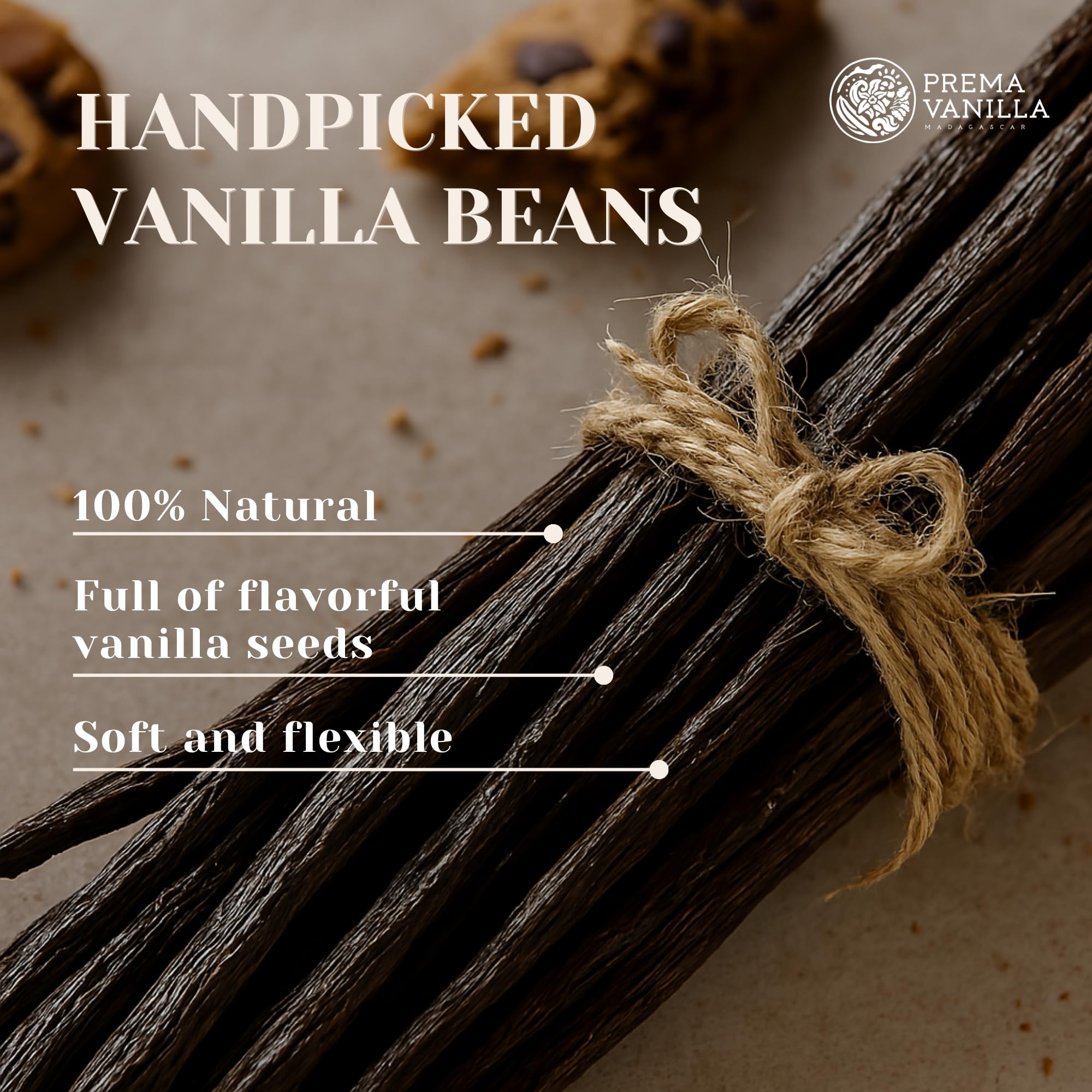 Prema Vanilla pods held in hand to show real size and plump grade A texture