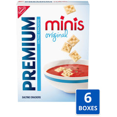 Premium mini saltine close-up of cracker texture highlighting crisp wheat grains and light salt