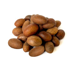 Prenox Foods close-up of bitter kola nut texture highlighting firm woody surface and taste clarity