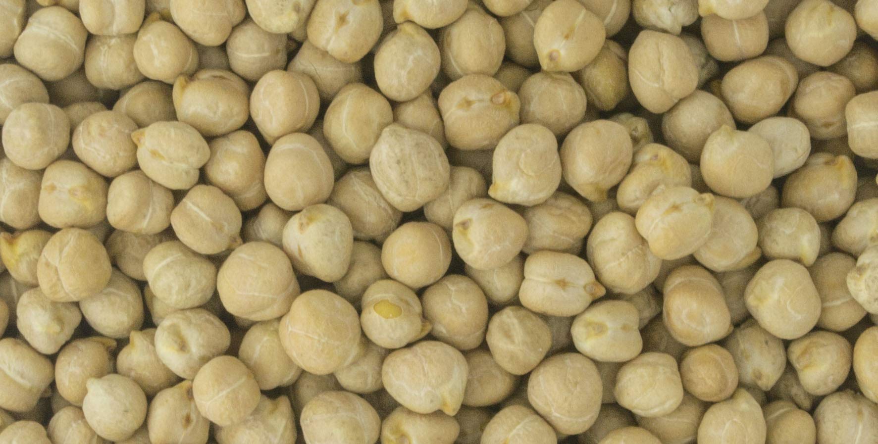 PRIMAL HARVEST chickpeas stored in airtight container illustrating long-term storage