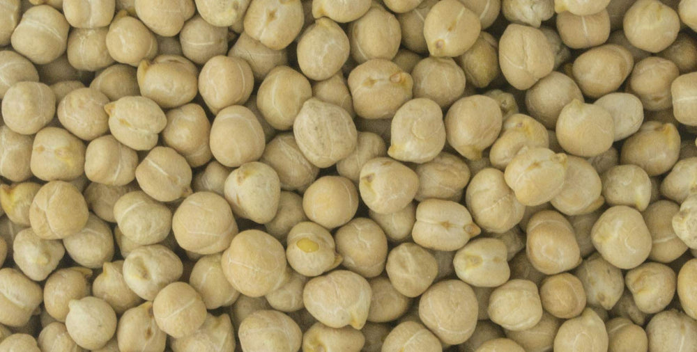 PRIMAL HARVEST chickpeas stored in airtight container illustrating long-term storage