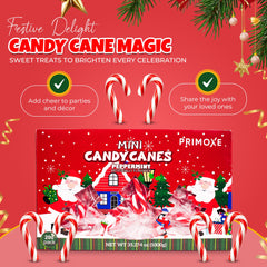 PRIMOXE individually wrapped mini canes laid out for hygienic sharing