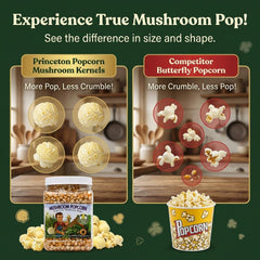 Princeton Popcorn stovetop popper in action for consistent popping