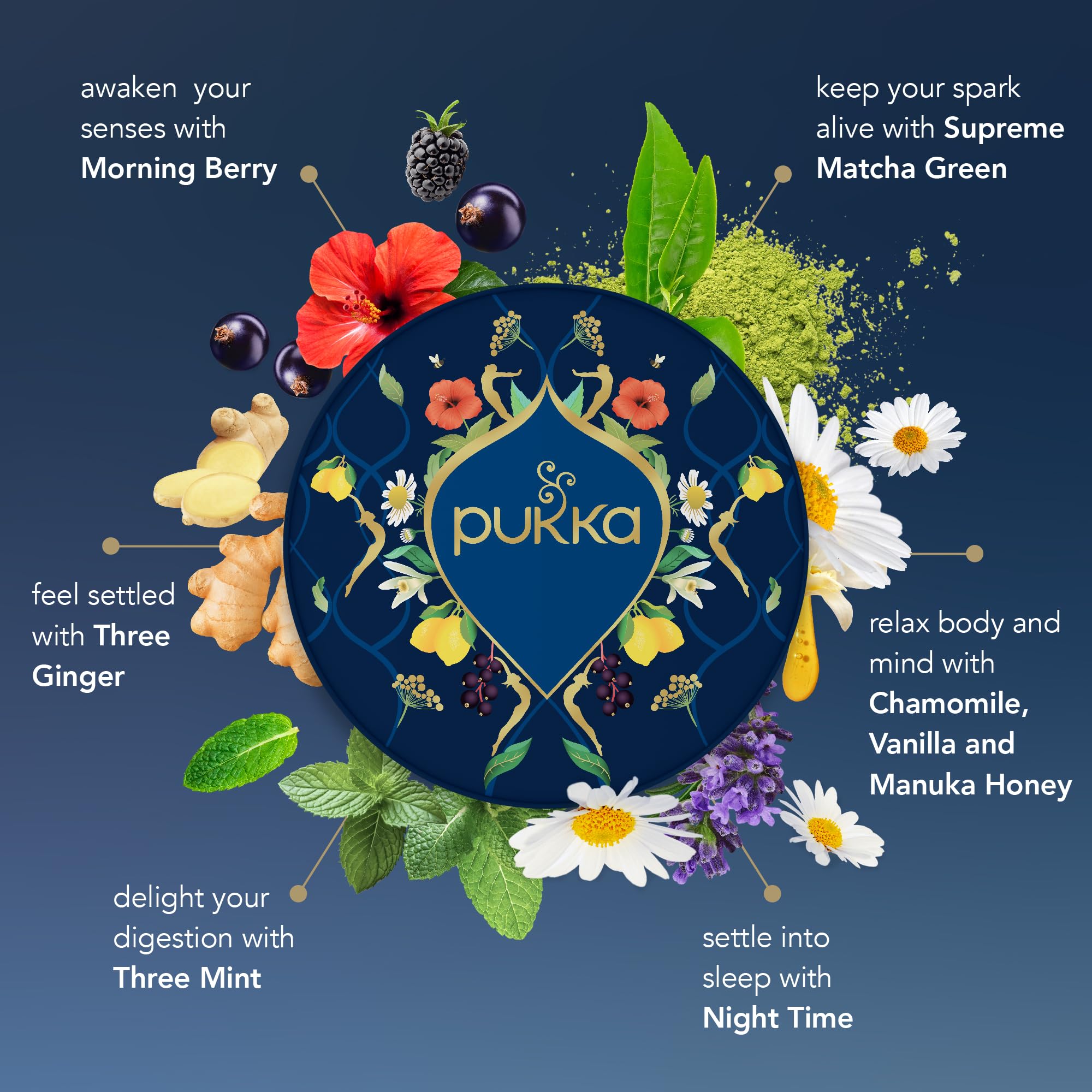 Pukka close-up of dried herbs and botanicals showing organic quality and aroma