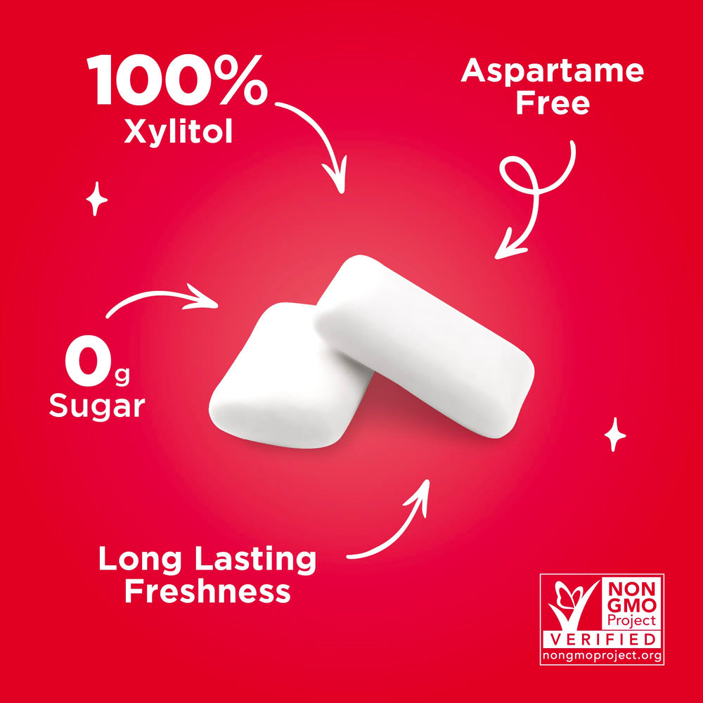 PUR Gum cinnamon packaging label detail showing xylitol and allergen-free benefit