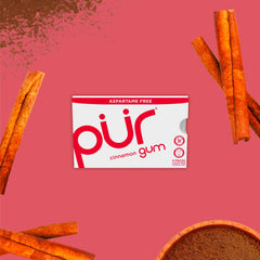 PUR Gum cinnamon single piece close-up showing texture and flavorful bite