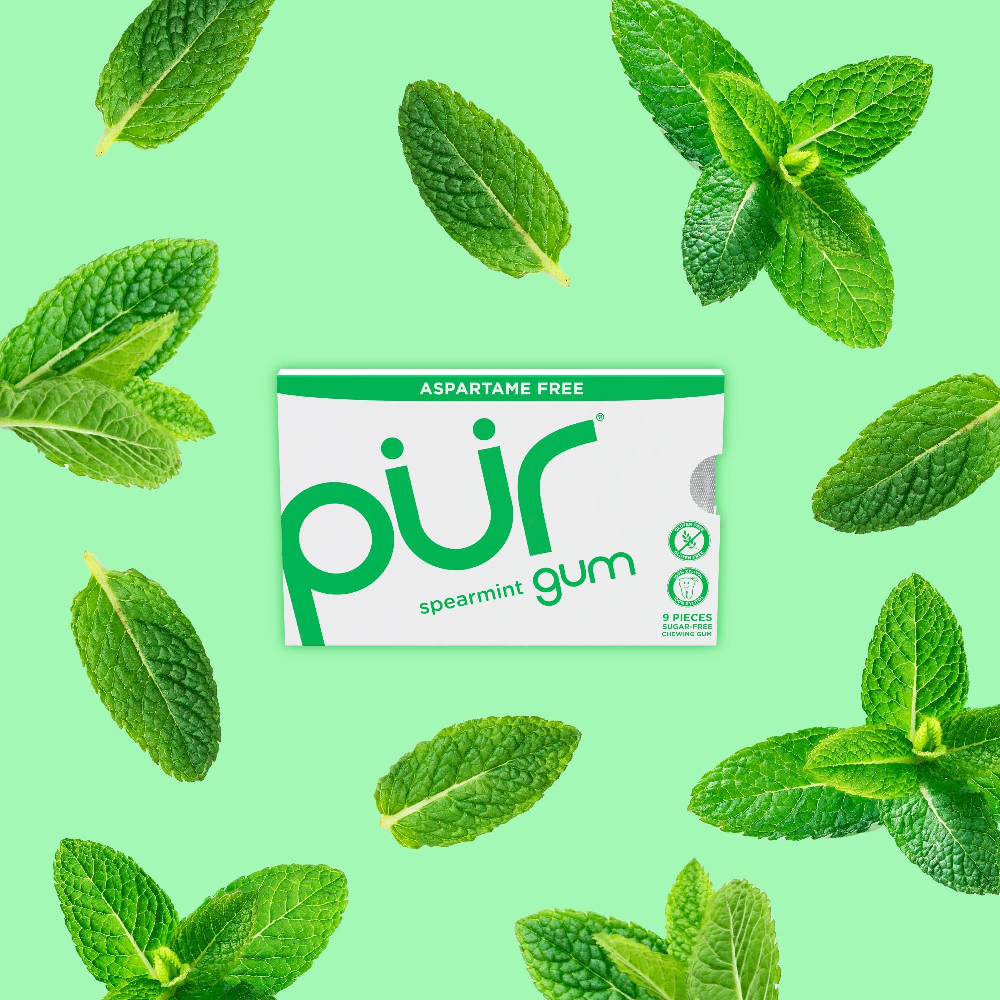 PUR Gum spearmint single piece texture close-up showing smooth chewable surface