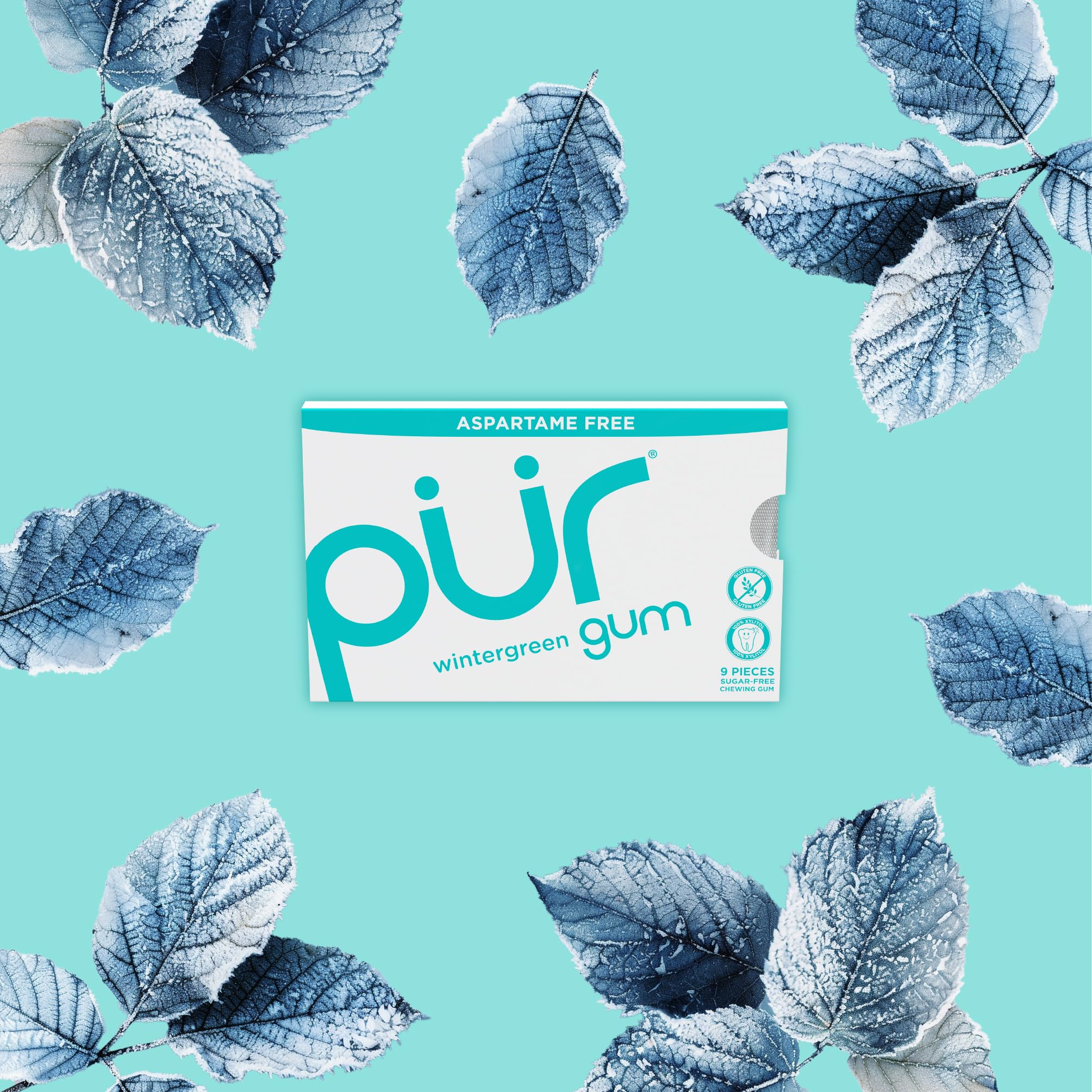 PUR Gum single piece texture close-up highlighting smooth chewability