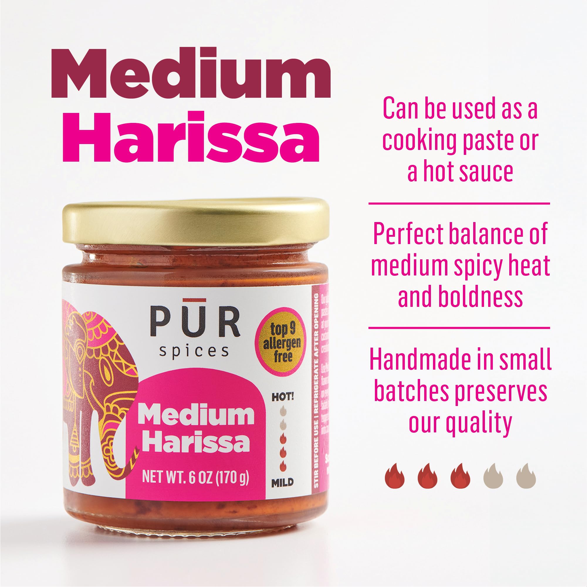 PUR Spices paste texture close-up showing rich chili and garlic flavor