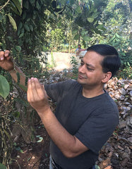 PURE INDIAN FOODS comparison of whole Tellicherry pepper and fresh ground for potency