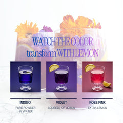 Queen Omi latte turning violet with citrus showing dramatic color change