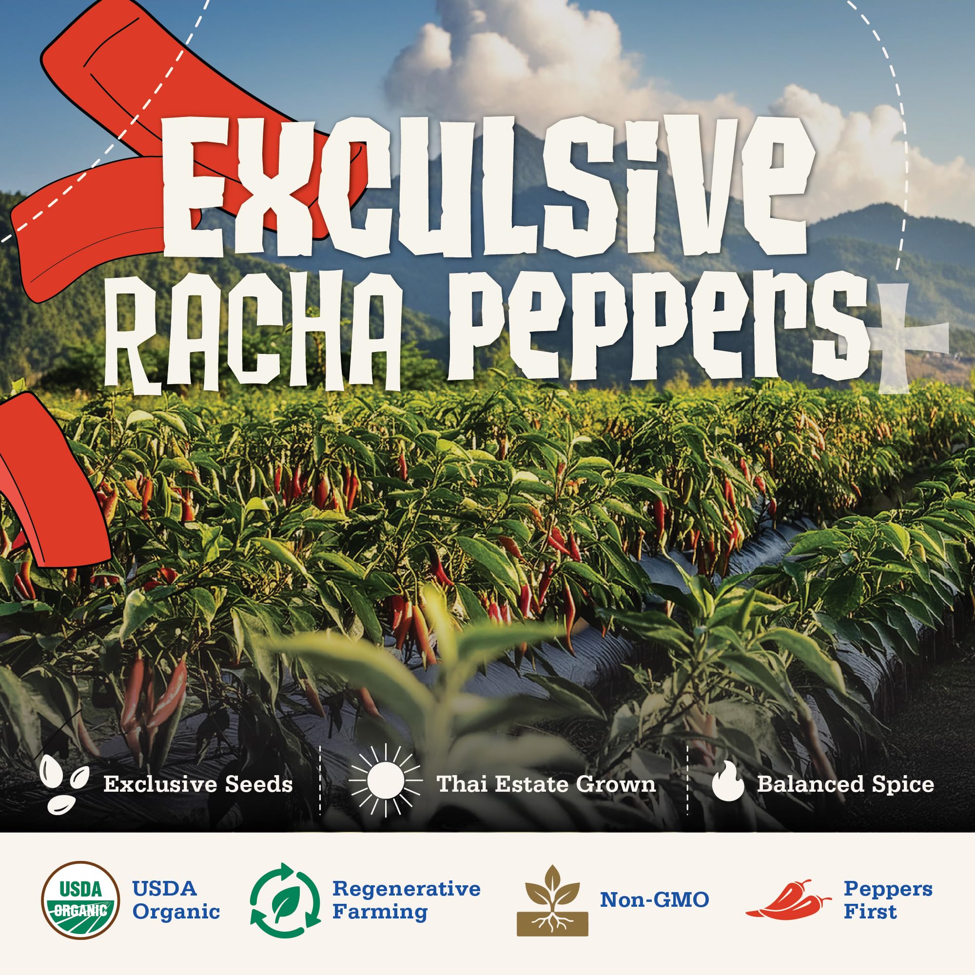 Racha Organics 10oz bottle next to common items to show compact size convenience